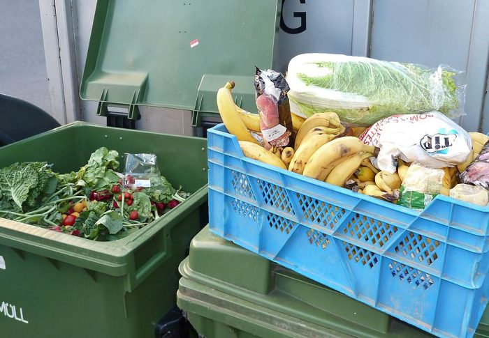 Freeganism: Living Off the Trash – And Loving It!