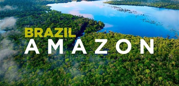 Brazil Amazon talktolearn