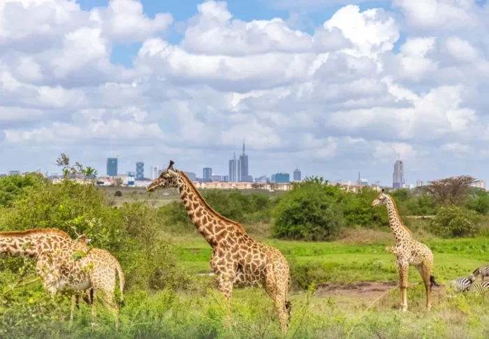 Kenya: Nature, Innovation, and Everyday Energy