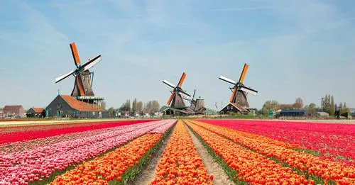 The Netherlands: How a Low Country Became a High Influence